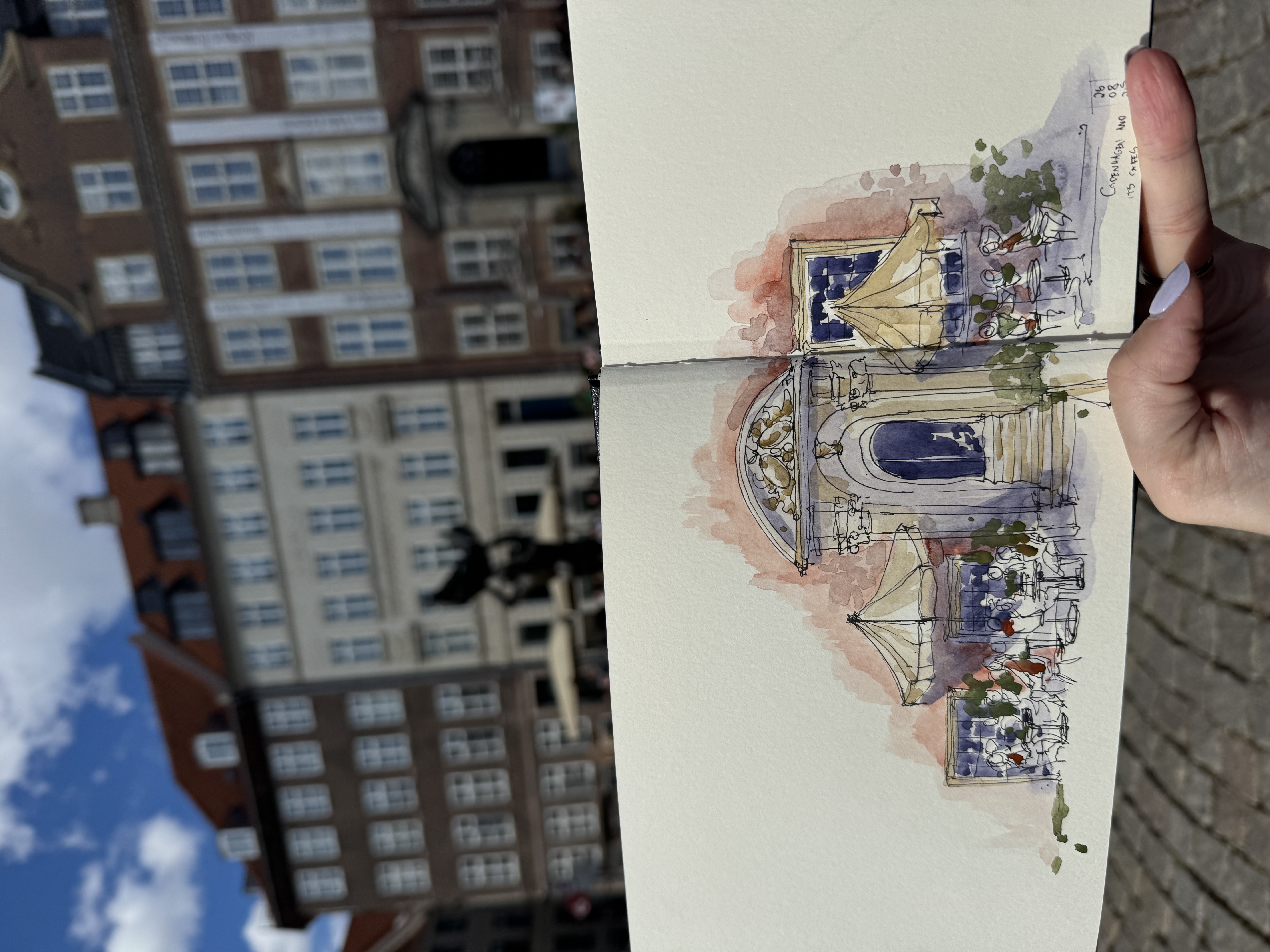 Image 31